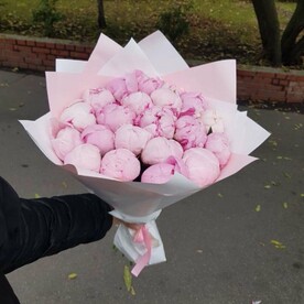 Пионы