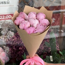 Пионы сара Бернард