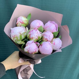 Пионы розовые