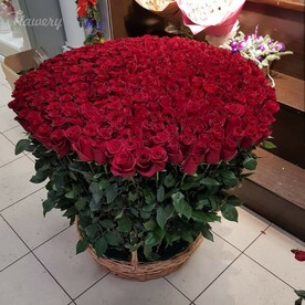 Красные розы Эквадорских, Флористическая губка, Корзина