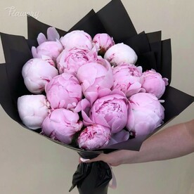 Вечно прекрасный.