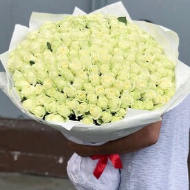 201 роза