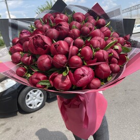 Пион ред шарм, Дизайнерская упаковка
