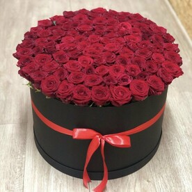 Роза ред наоми, Шляпная коробка