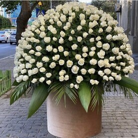 Огромный букет роз в огромной коробке
