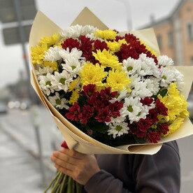 Хризантема кустовая