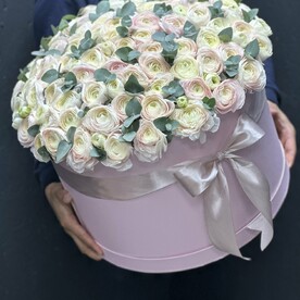 Ранункулюс в Коробке