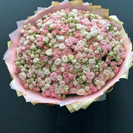Роза пионовидная кустовая, Дизайнерская упаковка