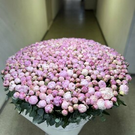 Огромная корзина из нежных пионов