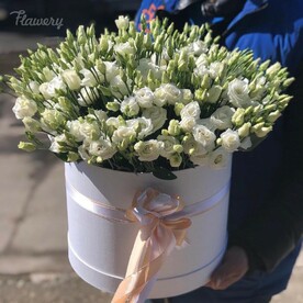 Лизиантус Эустома, Круглая коробка