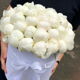 Пион, Оазис, Шляпная коробка