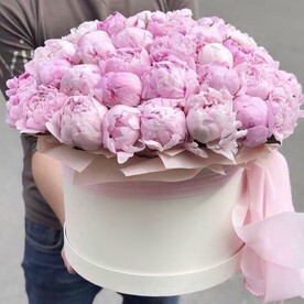 Пион, Шляпная коробка