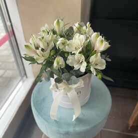 Стойкие альстромерии 🌸