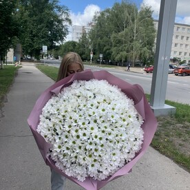 Летнее настроение