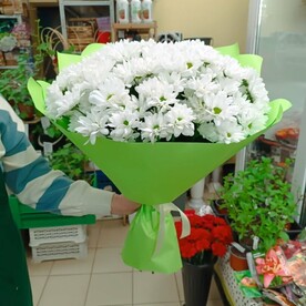 Хризантема кустовая, Пленка корейская