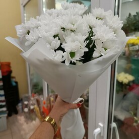 Хризантема кустовая, Пленка матовая