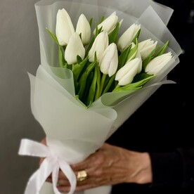 Белые тюльпана букет комплемент
