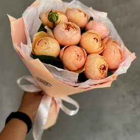 Пионовидные персиковые розы Свит Каталина