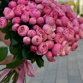 Пионовидные розы Силва Пинк 25