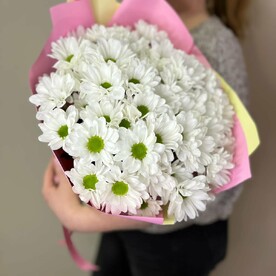 Моно букет 9 хризантем