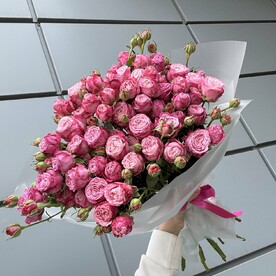 Роза пионовидная кустовая, Пленка матовая