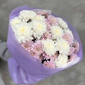 Хризантема одноголовая, Дизайнерская упаковка
