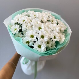 Белая хризантема