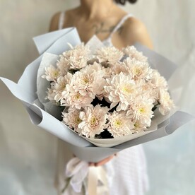 Хризантема кустовая, Бумага
