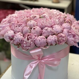 51 Пион Сара в коробке 😍