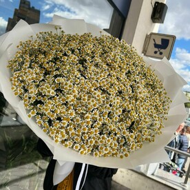 Ромашка, Дизайнерская упаковка