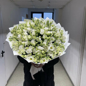 Букет из 51 белых эустом