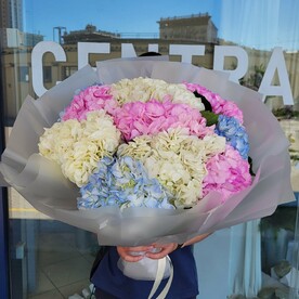 Букет из 11 Гортензии микс Колумбия 😍