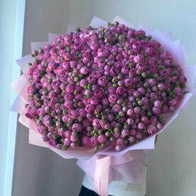 101 МИСТИ БАБЛС ПИОНОВИДНАЯ РОЗА 💕