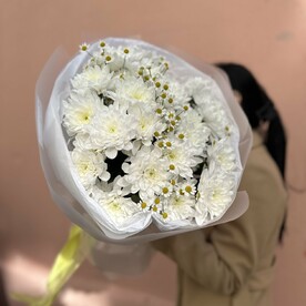 Хризантема кустовая, Ромашка, Дизайнерская упаковка