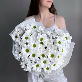 Букет белая хризантема кустовая ромашка