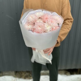 Хризантема кустовая 3 ветки
