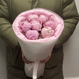Пионы розовые 7 штук