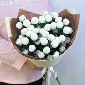 Нежный букет из белых хризантем Ньютон