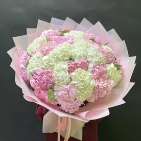 Шикарные гортензии 25 шт