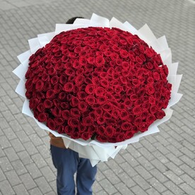 301 шт красные розы