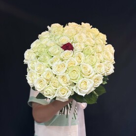 Роза аваланч, Роза красная