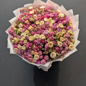 Роза пионовидная кустовая шт, Дизайнерская упаковка шт, шт