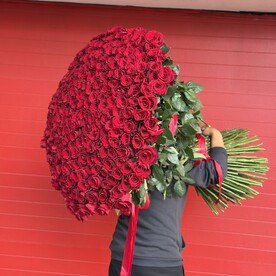Эквадорские розы 301 шт 😍🌹