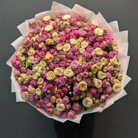 Роза пионовидная кустовая шт, Дизайнерская упаковка шт, шт