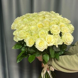 Роза 51