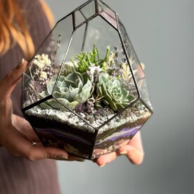 Флорариум с суккулентами и суоцветами «Лавандовые сны»