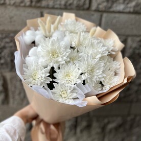 Хризантема, хлопок и лагурус