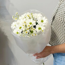Хризантема кустовая, Танацетум, Дизайнерская упаковка