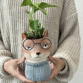 Микс растений