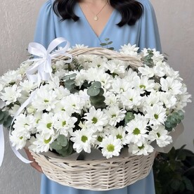 Хризантема кустовая, Эвкалипт, Оазис, Корзина